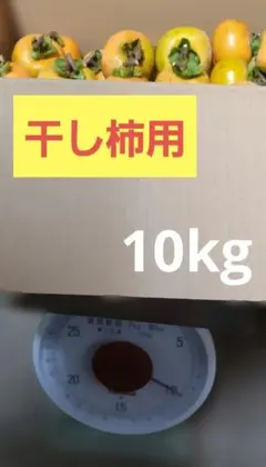 渋柿(干し柿用)10kg(29)