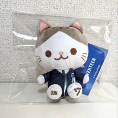 猫型ぬいぐるみセット SEVENTEEN ジュン SEVENTEEN ジュン ぬいぐるみ 猫 ねこ SECTOR 17 - メルカリ