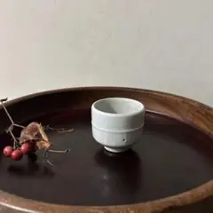 Item thumbnail for item 1dda63af-1423-4858-8c40-5fa92972e3f0