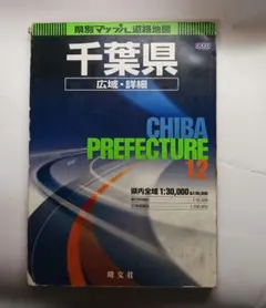 Item thumbnail for item 1110600f-1178-4073-a194-abf1332be192