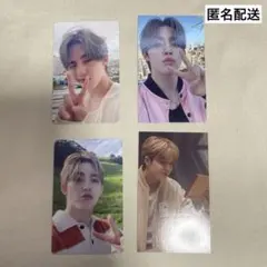 SEVENTEEN エスクプス 消費期限 STF 会場限定 愛知 トレカセット