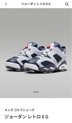 Nike Air Jordan 6 Retro Low Golf