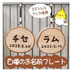 インコちゃんの✩.*˚しらかばのお名前プレート　 選べるフォント♪漢字もOK！