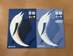 【四谷大塚予習シリーズ 】6年生 下　2025年版 2026年最新】四谷大塚 予習シリーズ 6年 下の人気アイテム - メルカリ