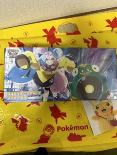 ナンジャモセット　新品未開封h ポケモンカードゲーム ナンジャモセット ジムセット スノー