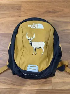 【美品】THE NORTH FACE HOMESLICE リュック