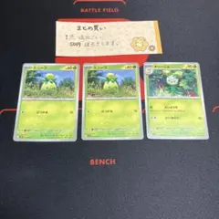 ミニーブ　オリーニョ　3枚セットのサムネイル