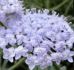 まろん様 リクエスト 4点 まとめ商品