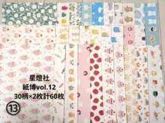 ⑬星燈社　包装紙ビュッフェ　30柄×2枚計60枚セット 紙博vol.12おまけ付