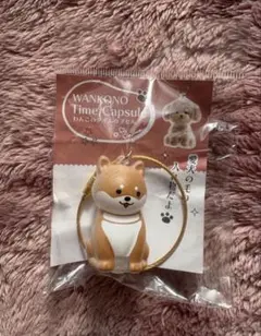 Item thumbnail for item dd24ca36-851d-4109-aa46-4c07df6e9a1e