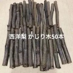 Item thumbnail for item 5c64d166-bc4f-4d71-897c-c4449eddeaec