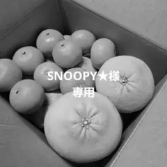 SNOOPY★さま専用です。