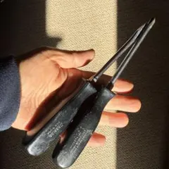 Item thumbnail for item e9cd6f23-0d17-4c0b-89d7-ca6190376050