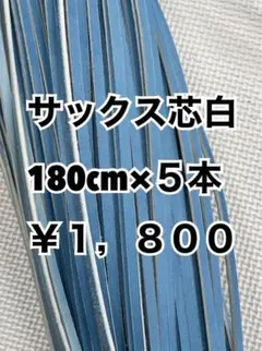 Item thumbnail for item 81af0153-f5aa-4236-9b99-f4a5c4690633