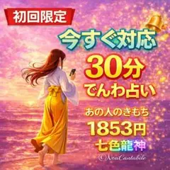 【今すぐ対応】初回限定・電話占い30分・あの人の気持ち・七色龍神ミニレター