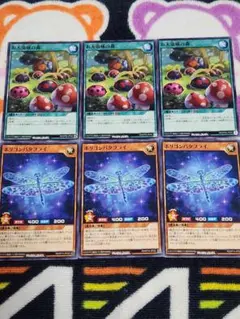 遊戯王　ラッシュデュエル　昆虫族