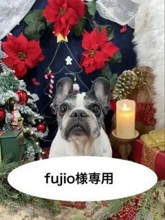 fujio様専用ページ