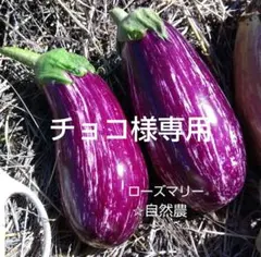 チョコ様 リクエスト 2点 まとめ商品