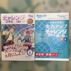 2026年最新】チャレンジ5年生の人気アイテム - メルカリ