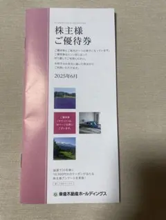 ⭐️未使用⭐️東急不動産ホールディングス　株主優待券 100株以上