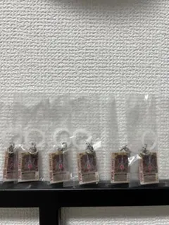 仮面ライダー めじるしアクセサリー2 ラウズカード