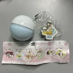mofusand くら寿司　ラバーチャーム