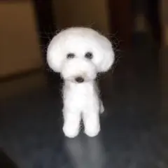 羊毛フェルト　アフロカット　犬のサムネイル