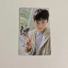 ENHYPEN アンケート トレカ 2025