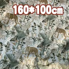 Item thumbnail for item 1c8e0279-057b-4d29-888f-f2e67170a273