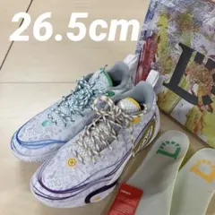 LI-NING バスケットボールシューズ Dlo 1 リーニンのサムネイル