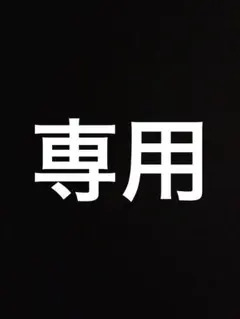 joe様 リクエスト 2点 まとめ商品