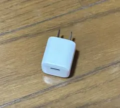 USB-C ホワイト充電器 2ピン