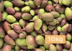 宮崎県産 摘果マンゴー グリーンマンゴー 11kg 宮崎県産 摘果マンゴー グリーンマンゴー 11kg - メルカリ
