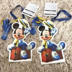 ディズニー バケーションパッケージ パスケース 2個セット