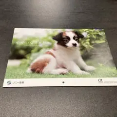 Item thumbnail for item 3923ea08-030a-427d-82b0-9e7f0a0e1420