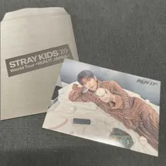 StrayKids スンミン RUN IT JAPAN フォトカード 3点セット | Mercari