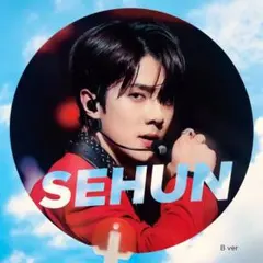 EXO セフン マスターうちわ