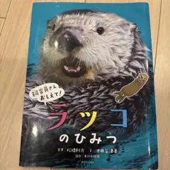 Item thumbnail for item 62312754-dead-406b-816d-6f690d78eee1