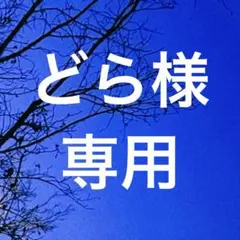 専用です