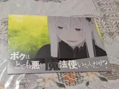 Re:ゼロから始める異世界生活 ポストカード エキドナ 名場面　特典