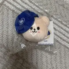 Stray Kids スキズ パピーム ボールキャップKARMA POPUP