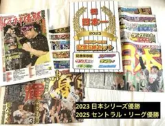 【非売品】阪神タイガース　リーグ優勝記念　新聞 2026年最新】新聞 阪神 優勝の人気アイテム - メルカリ