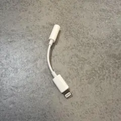 iPhone/iPad用 Lightningコネクタアダプタ