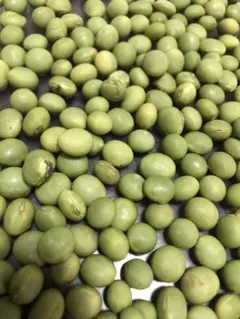 は^_^り様 リクエスト 2点 まとめ商品