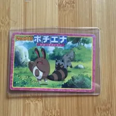 010 ポチエナ vs オタチ★トップサンアニメ版