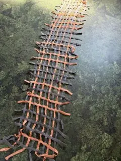 Item thumbnail for item 20c73728-0a7b-47eb-af6c-5d0770b1d8f2