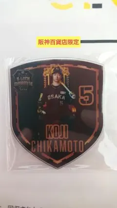 阪神タイガース 近本光司 TBDS シークレットアクリル王者マグネット