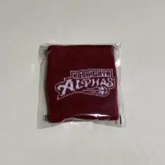 越谷アルファーズ バスケットボール