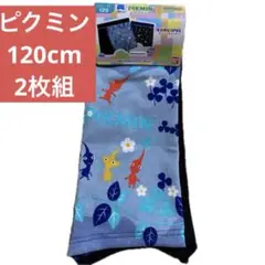 PIKMIN ピクミン ボクサーパンツ 2枚組 きゃらふるインナー 120㎝