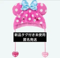 ミニー ファンキャップ ファンダーランド パルパルーザ 新品タグ付き